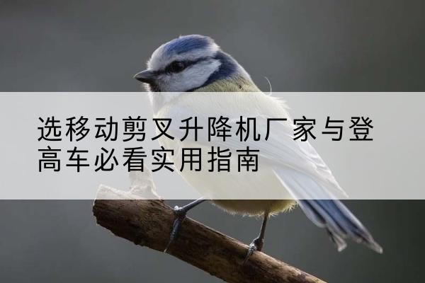 礼泉电动升降机厂家-选移动剪叉升降机厂家与登高车必看实用指南