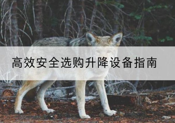 礼泉升降货梯厂家推荐-*安全选购升降设备指南