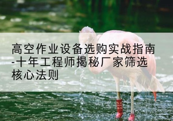 礼泉剪叉式升降机厂家-高空作业设备选购实战指南-十年工程师揭秘厂家筛选核心法则